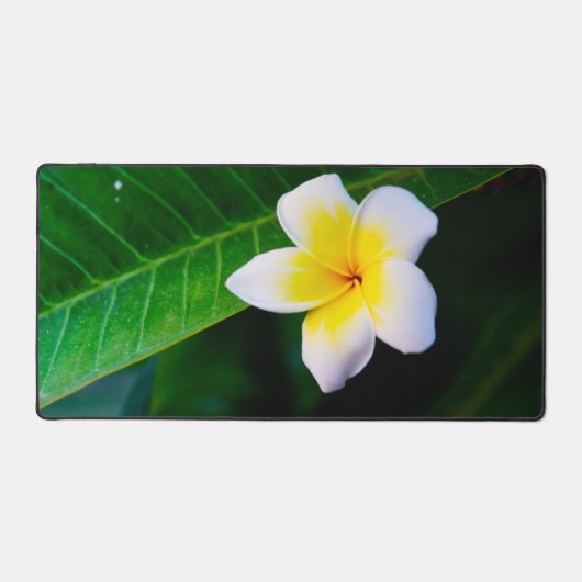 プルメリアの花の写真 デスクマット (正面)