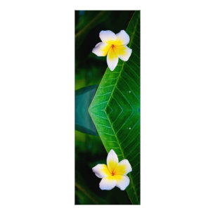プルメリアの花の写真 フォトプリント