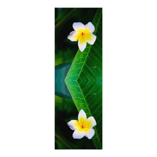 プルメリアの花の写真 フォトプリント            (正面)