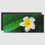 プルメリアの花の写真 マグネット招待状 (正面/裏面)