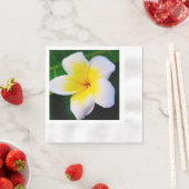 プルメリアの花の写真 縁ありカクテルナプキン (インサイチュ)