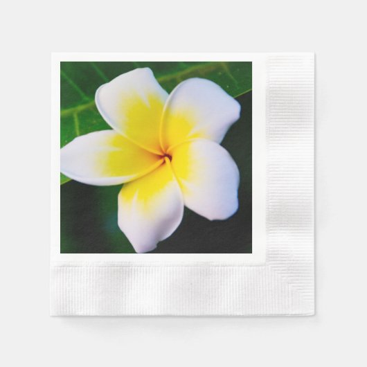 プルメリアの花の写真 縁ありカクテルナプキン (正面)