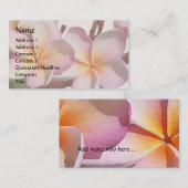 プルメリアの花の名刺 名刺 (正面/裏面)