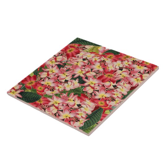 プルメリアの花の庭の熱帯花のタイル タイル (側面)