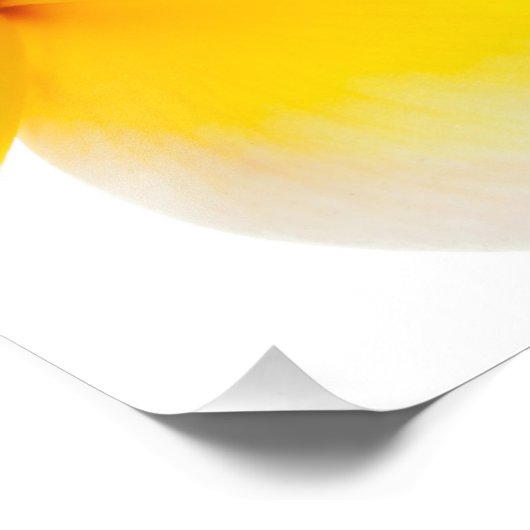 プルメリアの花ハワイアンホワイトイエローフランジパニ フォトプリント            (角)