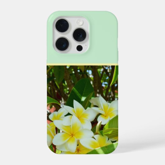 プルメリアの黄色い花が木に咲いている、 iPhoneケース (裏面)