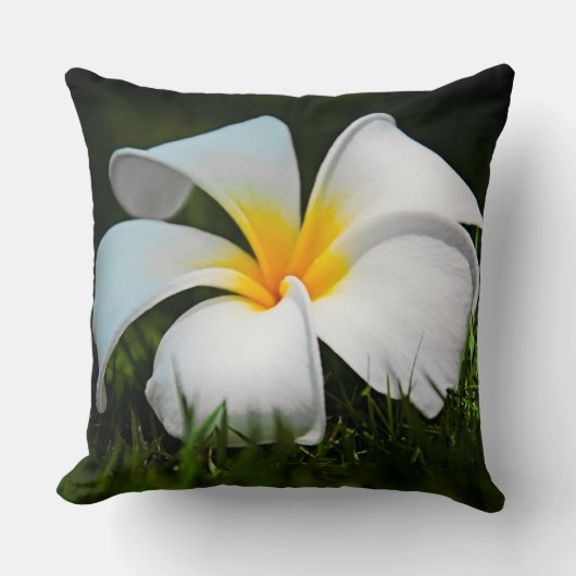 プルメリアのFrangipaniのハワイの白い花 クッション (正面)