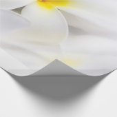 プルメリアのFrangipaniのハワイの花によってはテンプレートが開花します ラッピングペーパー (角)