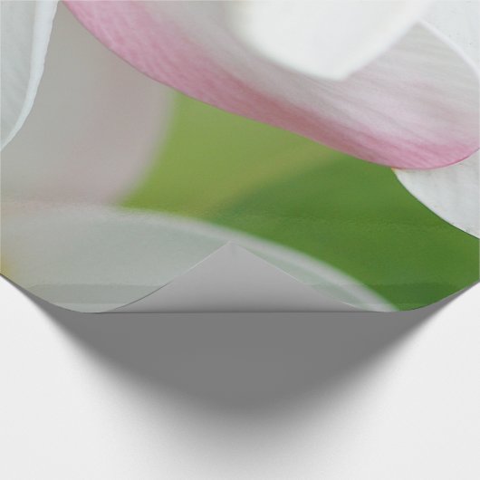 プルメリアのFrangipaniのハワイの花のハワイアンの花 ラッピングペーパー (角)