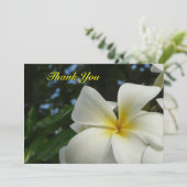 プルメリアのFrangipaniの花の悔やみや弔慰のサンキューカード サンキューカード (スタンド正面)