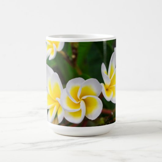 プルメリアはハワイ,クローズアップ コーヒーマグカップ (中央)