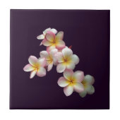 プルメリアは濃紫に咲く タイル (正面)