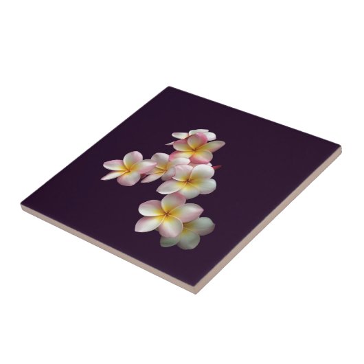 プルメリアは濃紫に咲く タイル (側面)