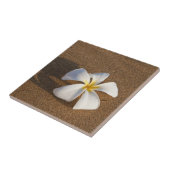 プルメリアオンサンディビーチ,マウイ,ハワイ,アメリカ タイル (側面)