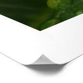 プルメリアトリオ ポスター (角)