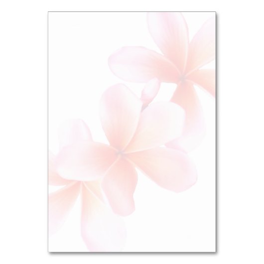 プルメリアビーチゲストレビュー座席表 テーブルナンバー (裏面)