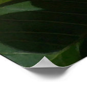 プルメリアフラワーズプリント ポスター (角)