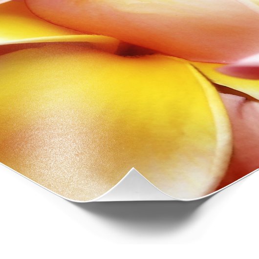 プルメリアフランギパニハワイフラワーカスタマイズ空白の フォトプリント (角)