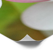 プルメリアフランギパニハワイフラワーカスタマイズ空白の ポスター (角)