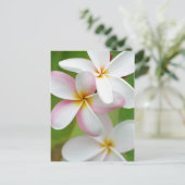 プルメリアフランギパニハワイフラワーカスタマイズ空白の ポストカード (スタンド正面)