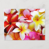 プルメリアフランギパニハワカスタマイズイフラワー ポストカード (正面)