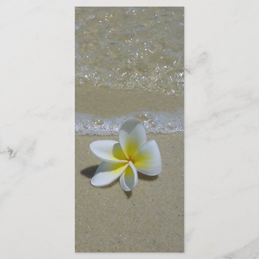 プルメリアフランジパニオンサンド結婚ズ メニュー (裏面)