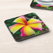 プルメリアルブラ コースター (左側)