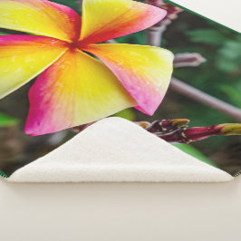 プルメリアルブラ シェルパブランケット