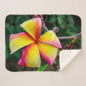 プルメリアルブラ シェルパブランケット (正面(横))