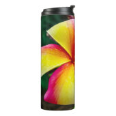 プルメリアルブラ タンブラー (回転左)