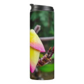 プルメリアルブラ タンブラー (回転右)