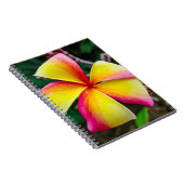 プルメリアルブラ ノートブック (右側)