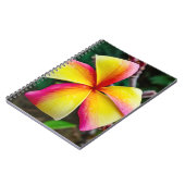 プルメリアルブラ ノートブック (左側)