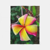 プルメリアルブラ フリースブランケット (正面)