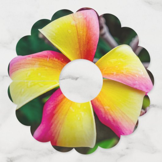 プルメリアルブラ ワイングラスタグ (裏面)