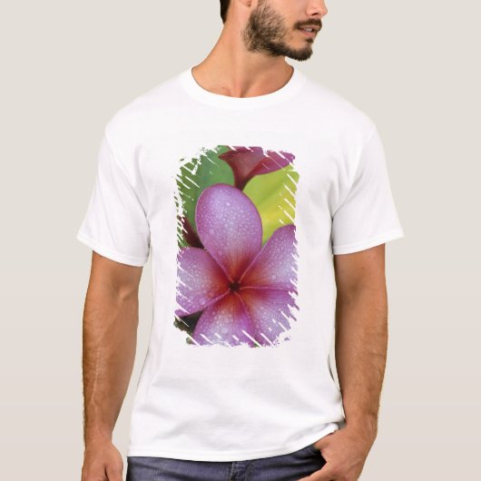 プルメリア属の花、南太平洋、ニウエ島 Tシャツ (正面)