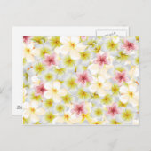 プルメリア愛 ポストカード (正面/裏面)