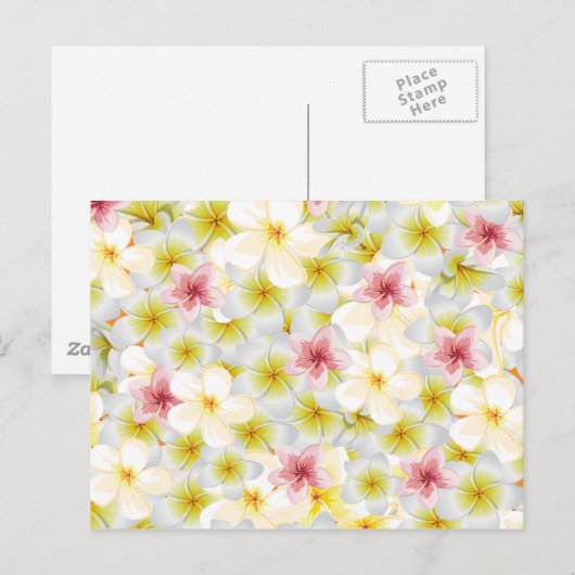 プルメリア愛 ポストカード (正面/裏面)