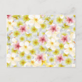 プルメリア愛 ポストカード (正面)