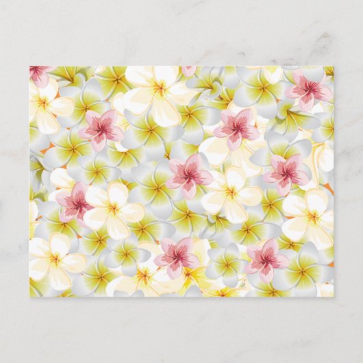 プルメリア愛 ポストカード (正面)