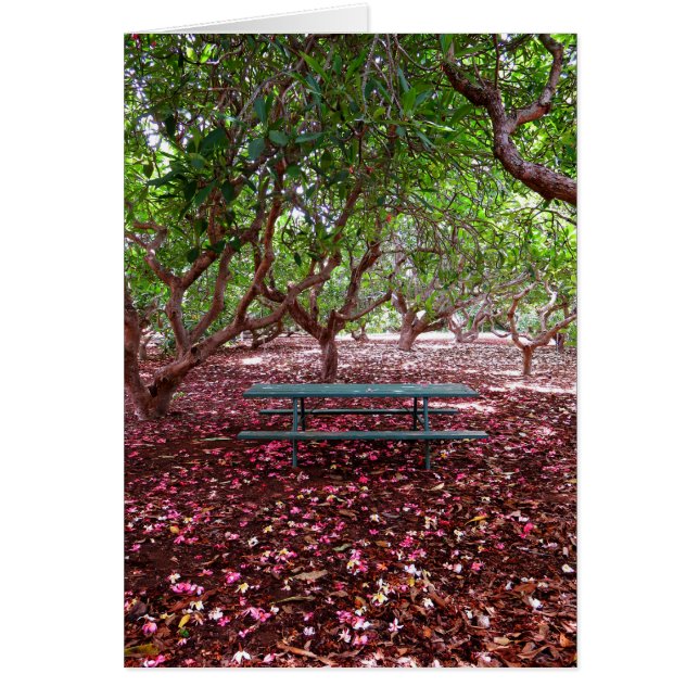 プルメリア果樹園 (正面)