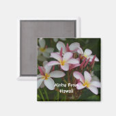 プルメリア花 マグネット (正面/裏面)