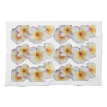 プルメリア開花