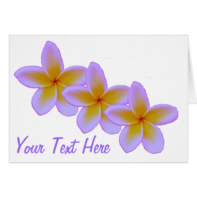 プルメリア (正面横)