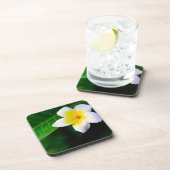 プルメリア コースター (右側)