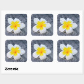 プルメリア スクエアシール (シート)