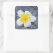 プルメリア スクエアシール (バッグ)