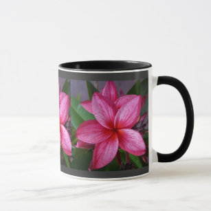 プルメリア-ハワイの花 マグカップ