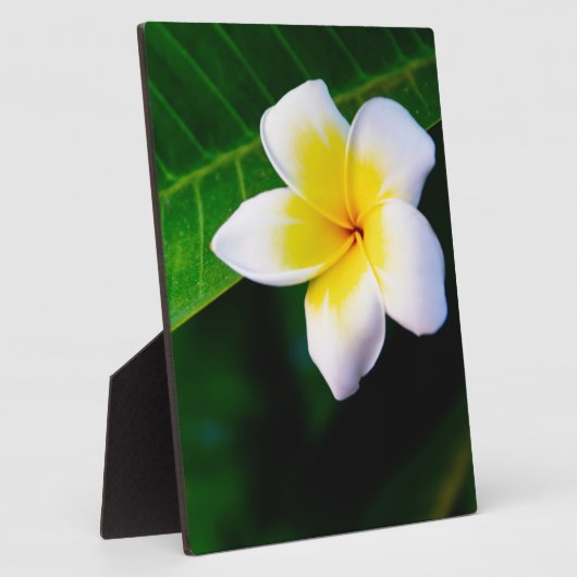 プルメリア フォトプラーク (側面)