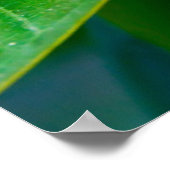 プルメリア ポスター (角)